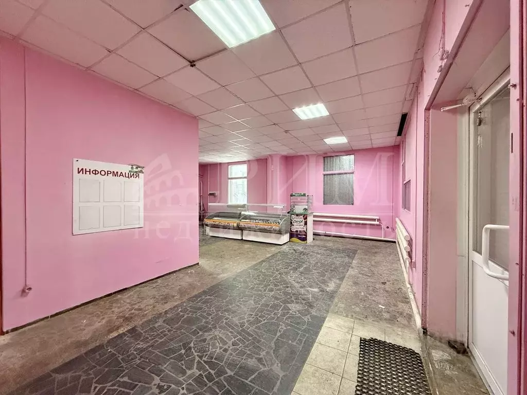 Торговая площадь в Пензенская область, Пенза ул. Кураева, 49 (65 м) - Фото 2