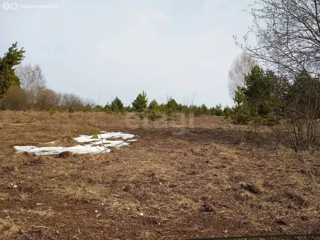 Участок в Можгинский район, деревня Залесный, Дачная улица (150 м) - Фото 2