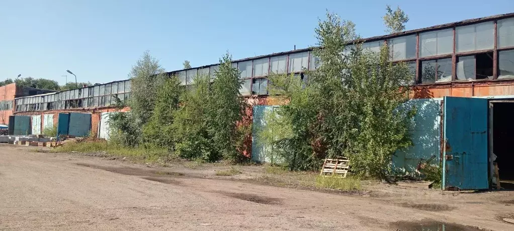 Помещение свободного назначения в Омская область, Омск просп. Мира, ... - Фото 2