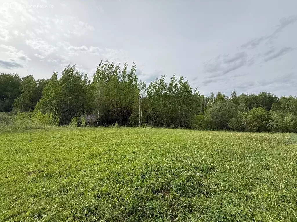Участок в Новгородская область, Валдайское городское поселение, село ... - Фото 0