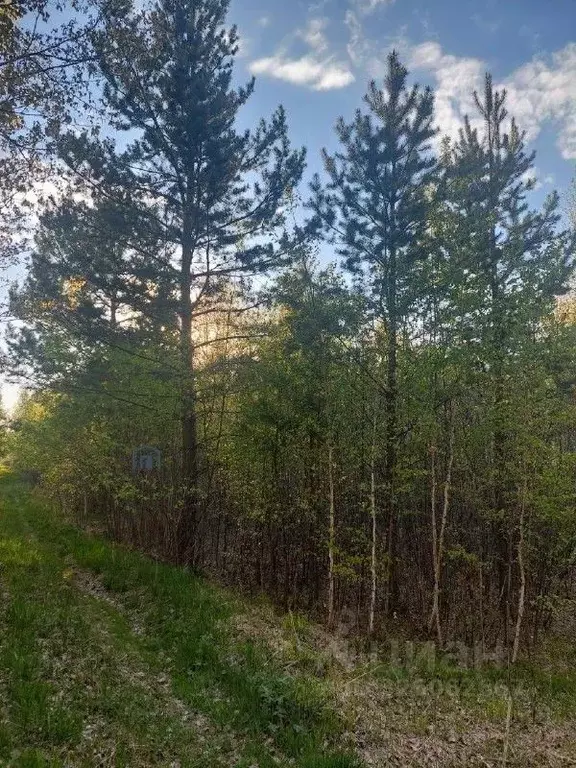 Участок в Иркутская область, Шелеховский район, Большелугское ... - Фото 1