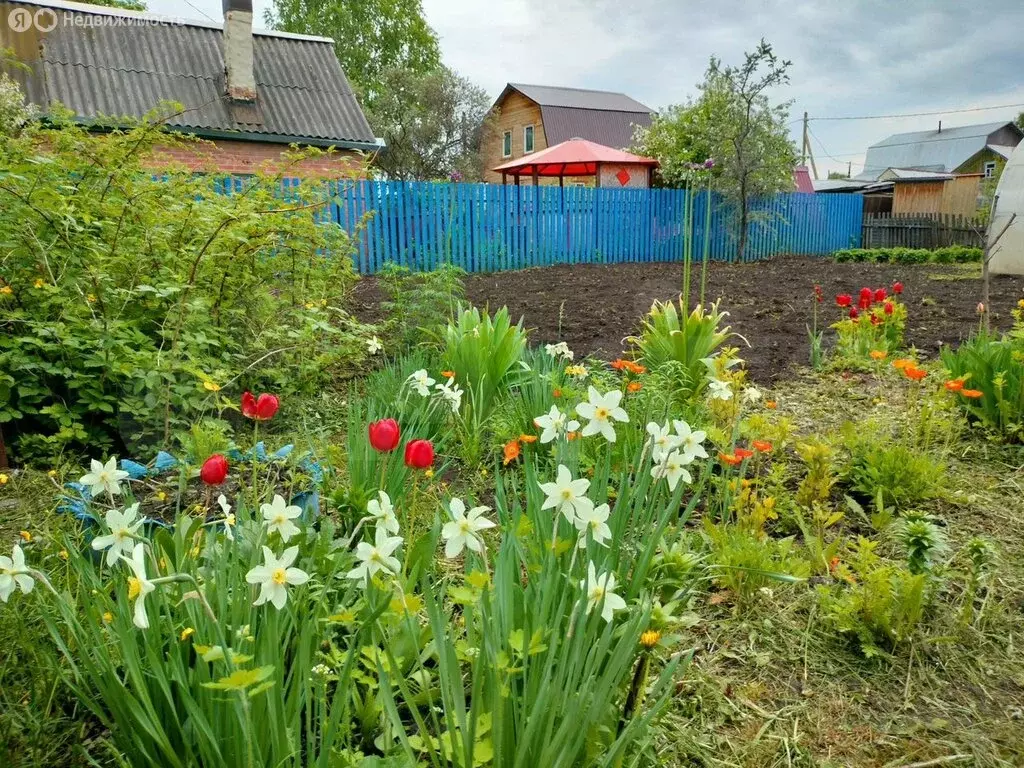 Дом в Тюмень, СНТ Плодовое, 745 (17.7 м) - Фото 1