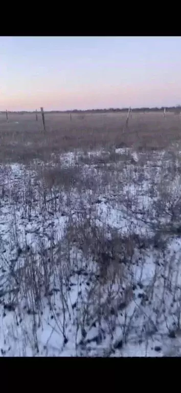 Участок в Астраханская область, с. Красный Яр  (6.0 сот.) - Фото 1