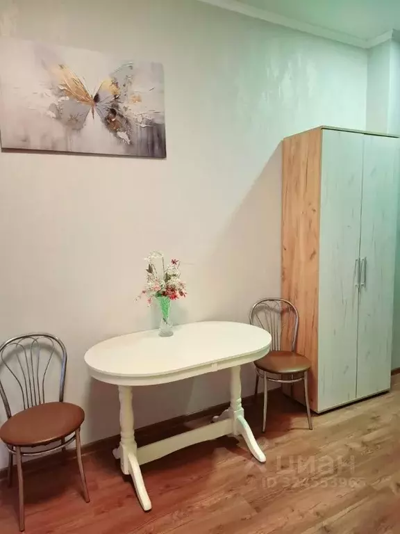 Студия Краснодарский край, Геленджик Крымская ул., 22к11 (28.0 м) - Фото 2