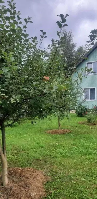 Дом в Вологодская область, Вологда ул. Луначарского, 21 (138 м) - Фото 2