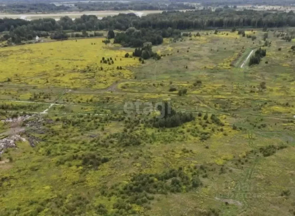 Участок в Калининградская область, Зеленоградский муниципальный округ, ... - Фото 1