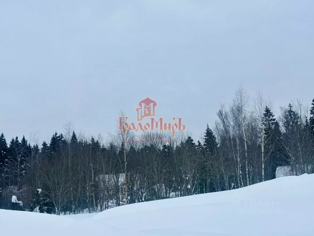 Участок в Московская область, Сергиево-Посадский городской округ, д. ... - Фото 1