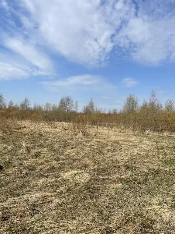 Участок в Ленинградская область, Кировский район, Назиевское городское ... - Фото 1