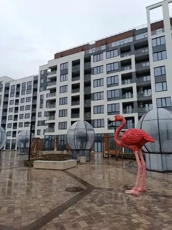 Помещение свободного назначения в Крым, Сакский район, Лесновское ... - Фото 1