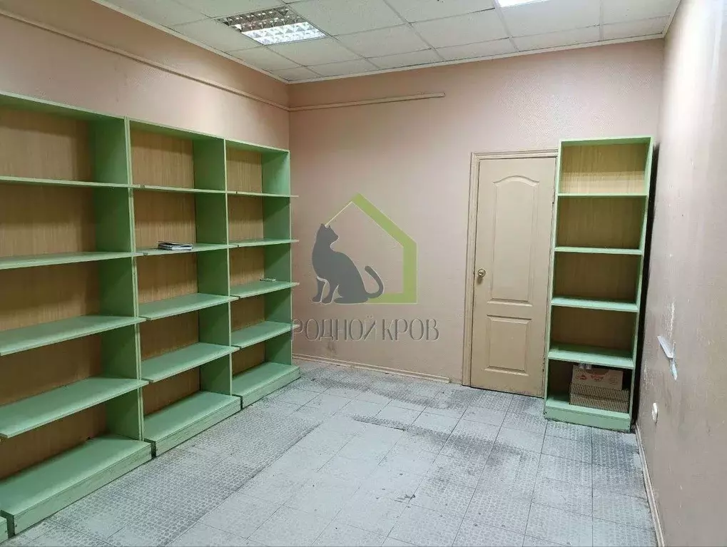 Торговая площадь в Самарская область, Сызрань просп. 50 лет Октября, ... - Фото 1