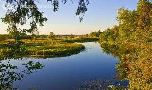 Дом в Чайковская, Болотная улица, 26 (30 м) - Фото 0