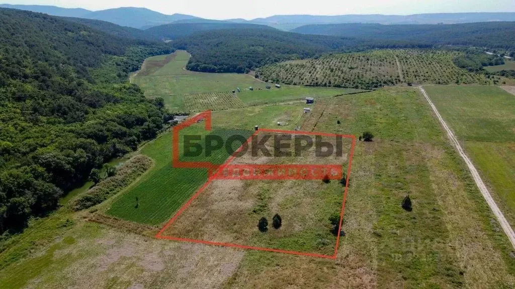 Участок в Севастополь с. Терновка, ул. Садовая (120.0 сот.) - Фото 2