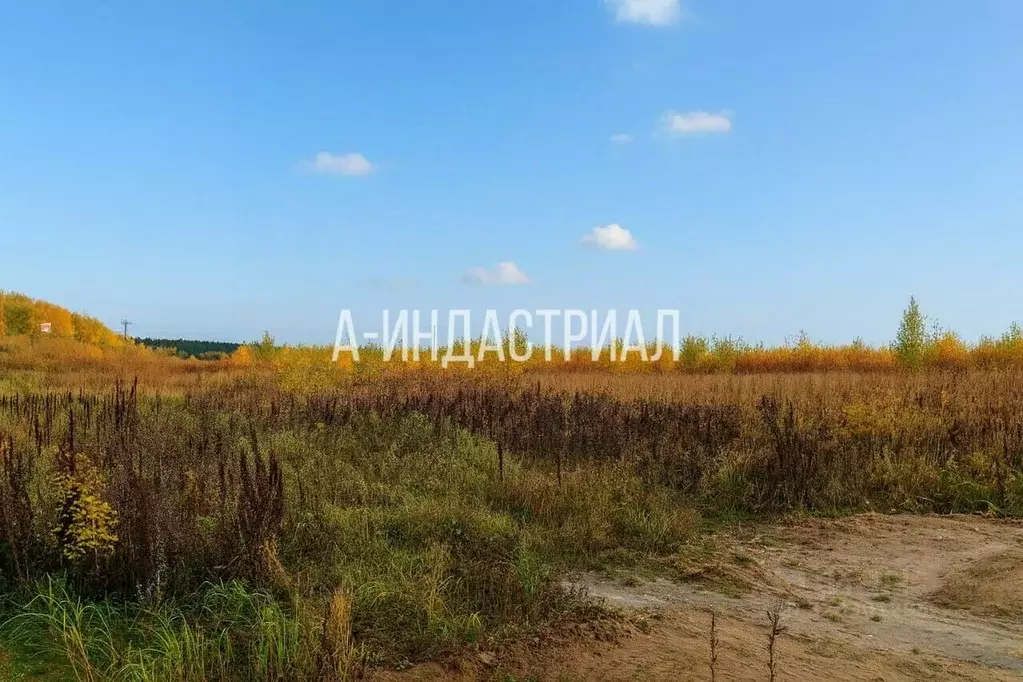 Участок в Московская область, Домодедово городской округ, д. Кучино, ... - Фото 2