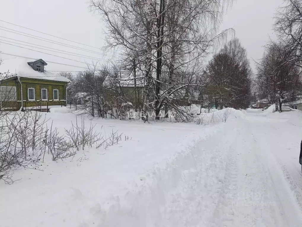 Участок в Владимирская область, Суздальский район, Новоалександровское ... - Фото 1