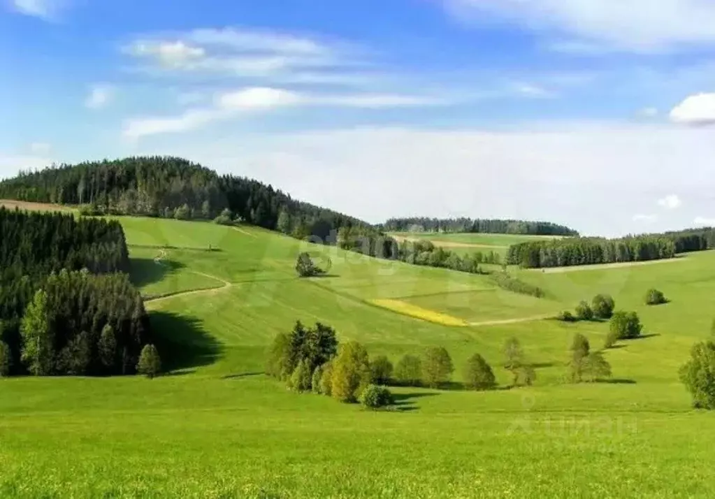 Участок в Калужская область, Дзержинский муниципальный округ, Совхоз ... - Фото 1