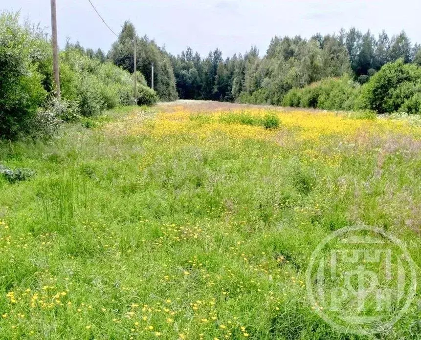 Участок в Ленинградская область, Выборгский район, Рощинское городское ... - Фото 0