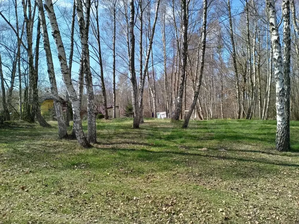Участок 9,12 га (СНТ, ДНП) - Фото 1