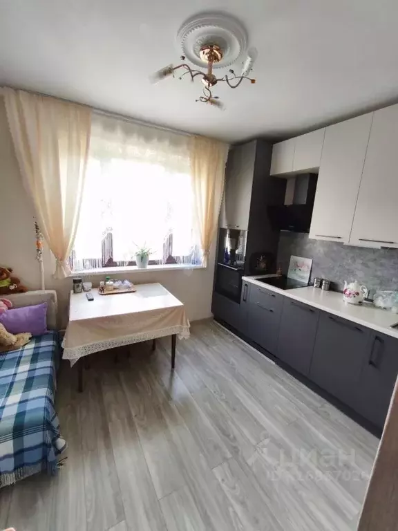 Комната Московская область, Люберцы ул. Черемухина, 4 (16.0 м) - Фото 1