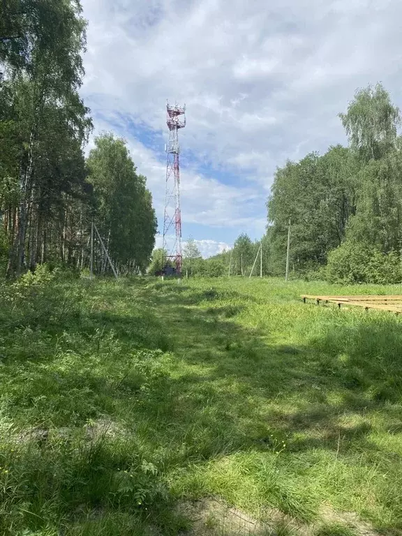 Участок в Московская область, Щелково городской округ, д. Шевелкино, ... - Фото 1