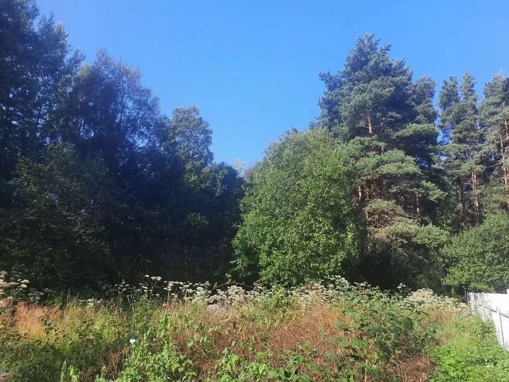 Участок, 12 сот., поселения (ижс) - Фото 1