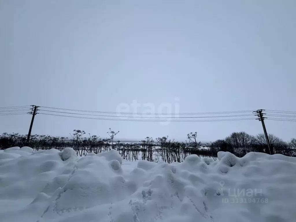 Участок в Коми, Сыктывдинский район, с. Выльгорт ул. Совхозная (10.0 ... - Фото 1