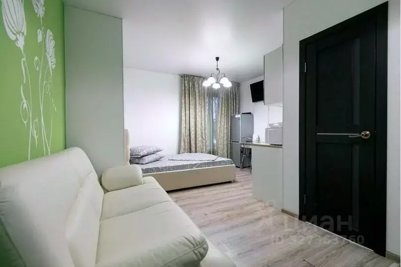 1-к кв. Калужская область, Обнинск ул. Курчатова, 27/2 (25.0 м) - Фото 2