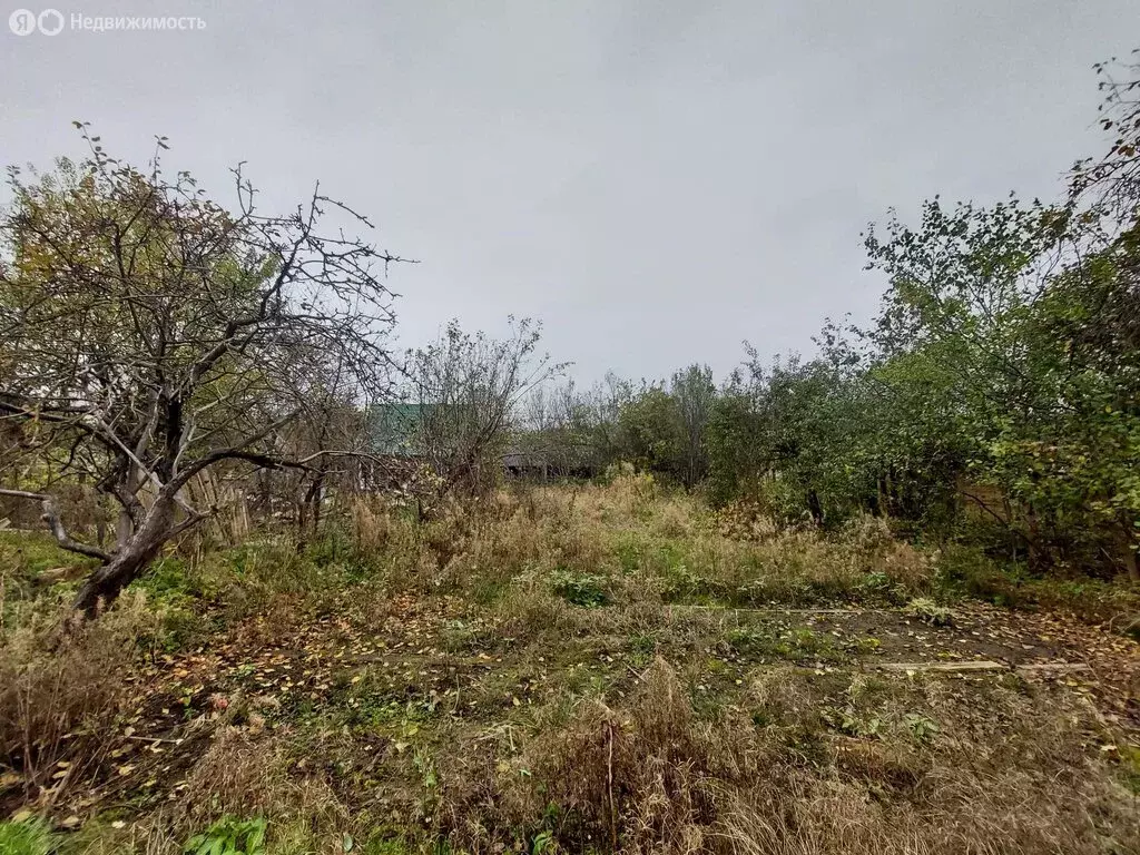 Участок в Псков, улица Софьи Перовской (10 м) - Фото 2