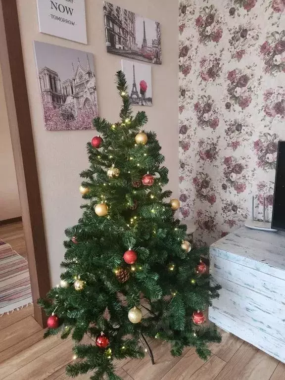 1-к кв. Тверская область, Торжок ул. Дзержинского, 113 (44.0 м) - Фото 1