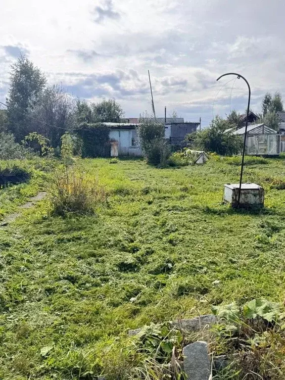 Участок в Свердловская область, Екатеринбург Луч СНТ, 16 (10.1 сот.) - Фото 1