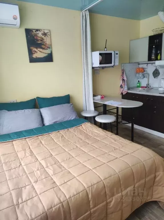 Студия Приморский край, Владивосток Некрасовская ул., 46 (24.0 м) - Фото 1