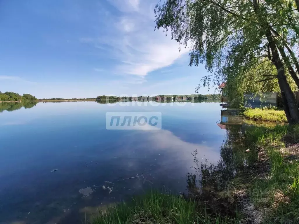 Участок в Алтайский край, Бийский район, Чуйский СНТ ул. Береговая, 13 ... - Фото 2