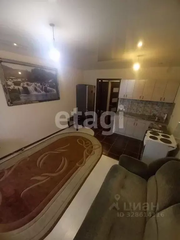 Студия Новосибирская область, Новосибирск Кубовая ул., 96 (28.0 м) - Фото 1