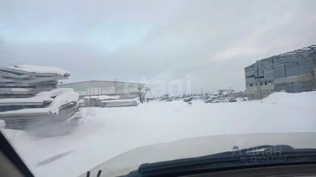 Склад в Ямало-Ненецкий АО, Ноябрьск Промузел Пелей кв-л, 11-я панель, ... - Фото 1