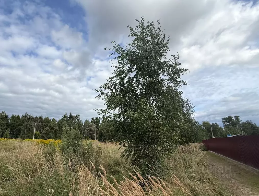 Участок в Московская область, Воскресенск городской округ, пос. ... - Фото 1