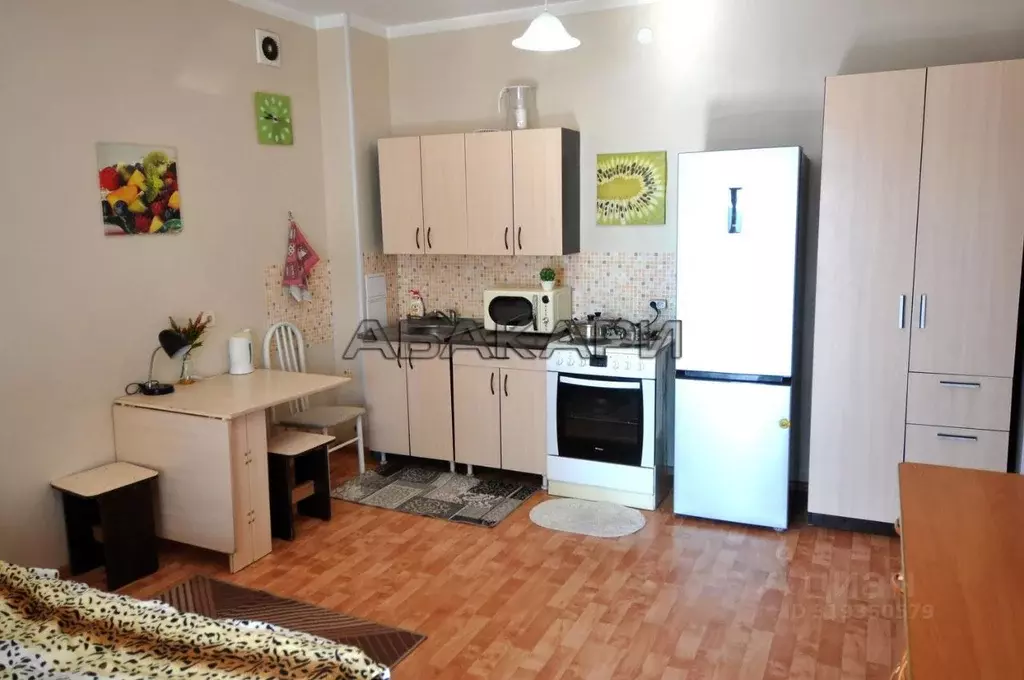 Студия Красноярский край, Красноярск ул. Ладо Кецховели, 17а (30.0 м) - Фото 1