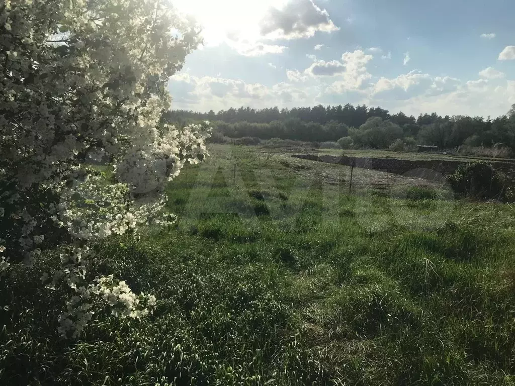 Дом 28 м на участке 43 сот. - Фото 0