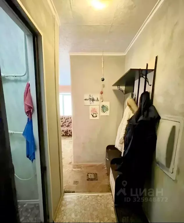 1-к кв. Московская область, Ногинск Богородский городской округ, ул. ... - Фото 2