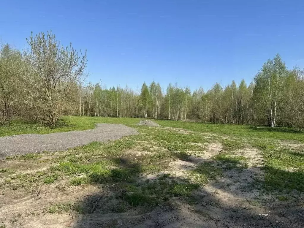 Участок в Тамбовская область, Тамбовский муниципальный округ, Новая ... - Фото 1