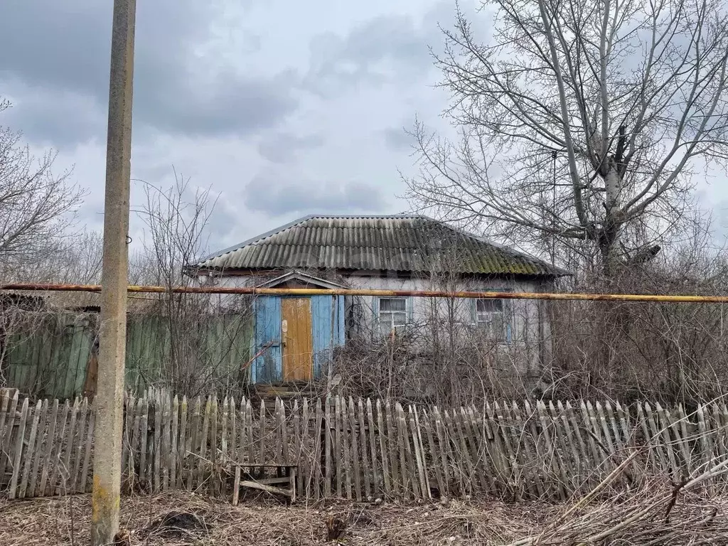 Дом в Белгородская область, Губкинский городской округ, с. Лопухинка ... - Фото 1