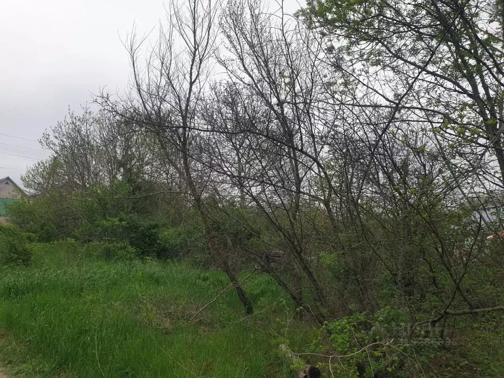 Участок в Краснодарский край, Новороссийск городской округ, с. ... - Фото 0