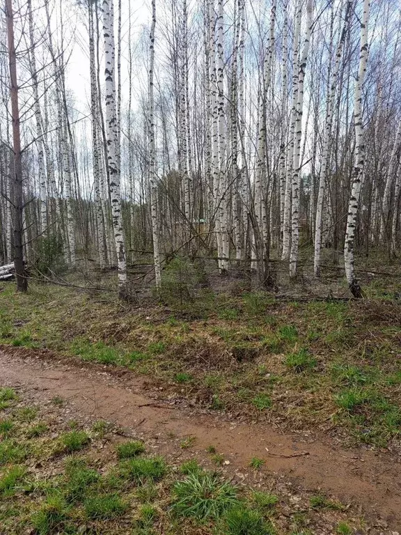 Участок 15 сот. (ИЖС) - Фото 0