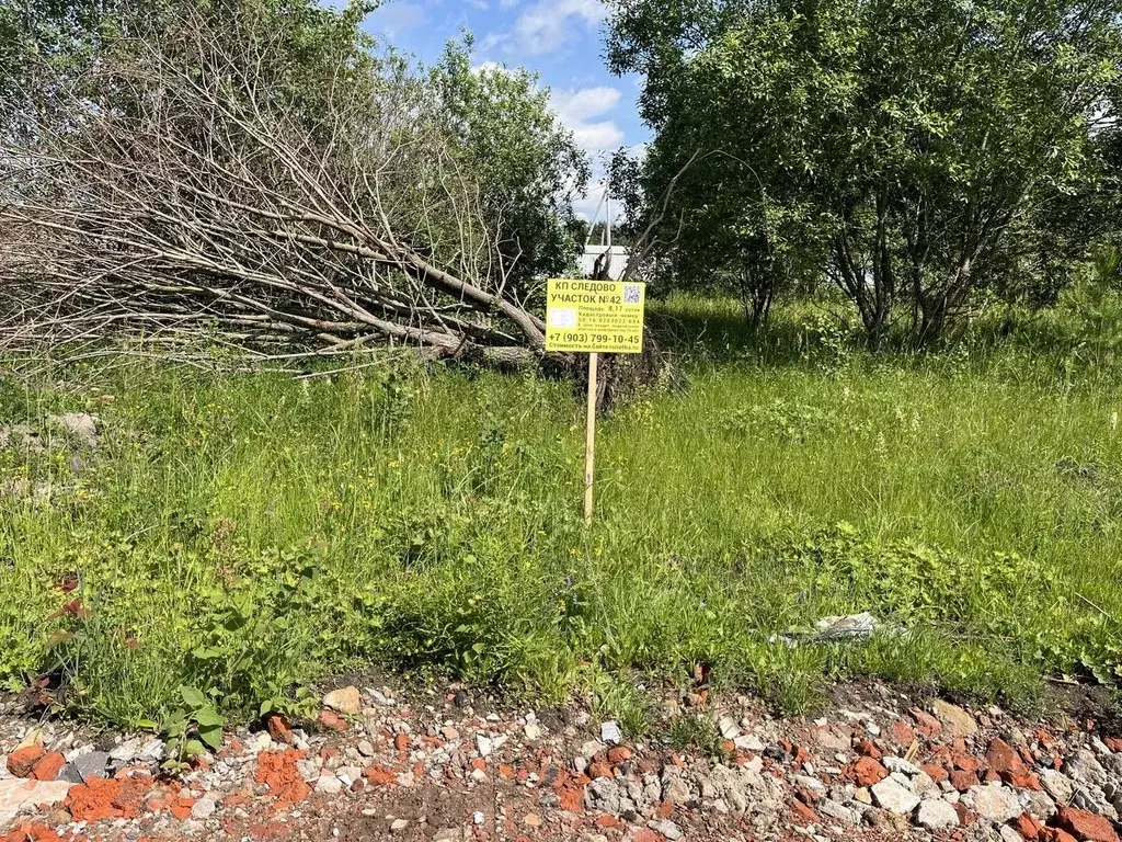 Участок в Московская область, Богородский городской округ, Следово кп ... - Фото 2