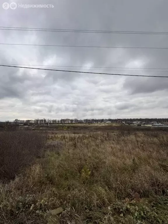 Участок в Семилуки, улица Гагарина (250 м) - Фото 2