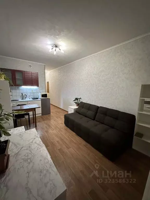 Студия Новосибирская область, Новосибирск Первомайская ул., 226 (23.0 ... - Фото 2