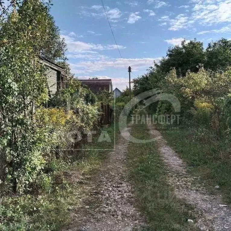 Участок в Воронежская область, Воронеж Строитель СНТ, ул. 11-я (5.8 ... - Фото 1