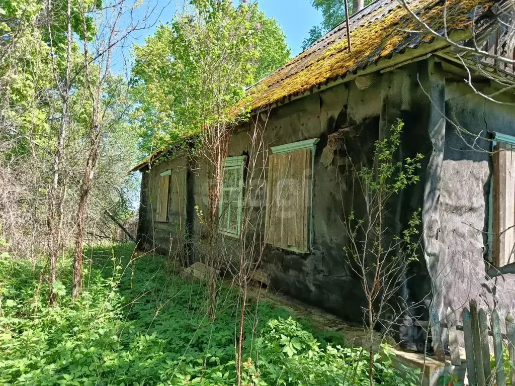 Дом в Псковская область, Новоржевский муниципальный округ, д. Себрово  ... - Фото 2