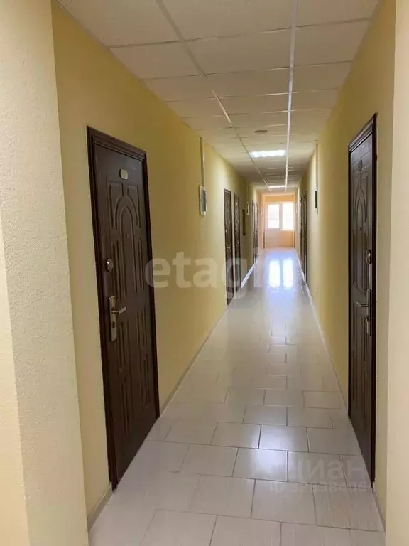 Студия Крым, Черноморский район, с. Межводное ул. Приморская, 18А ... - Фото 1