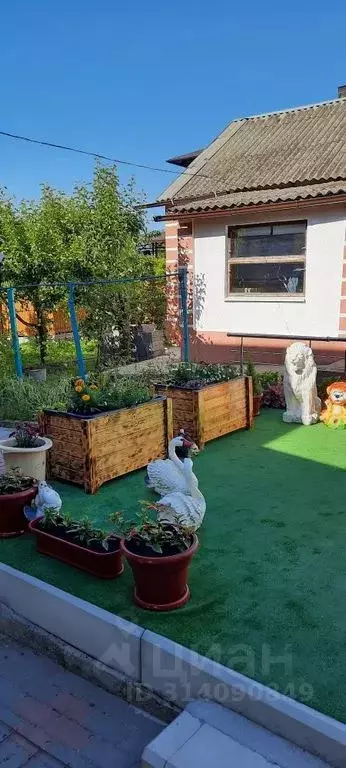 Дом в Краснодарский край, Геленджик городской округ, с. Береговое ул. ... - Фото 0