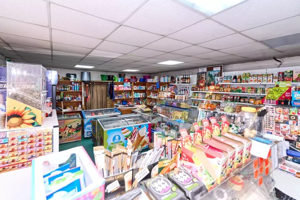 Торговая площадь в Томская область, Томский район, с. Александровское ... - Фото 1