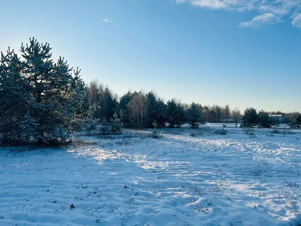 Участок в Московская область, Подольск городской округ, Пузиково кп 70 ... - Фото 2